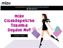 Tablet Screenshot of mizu.com